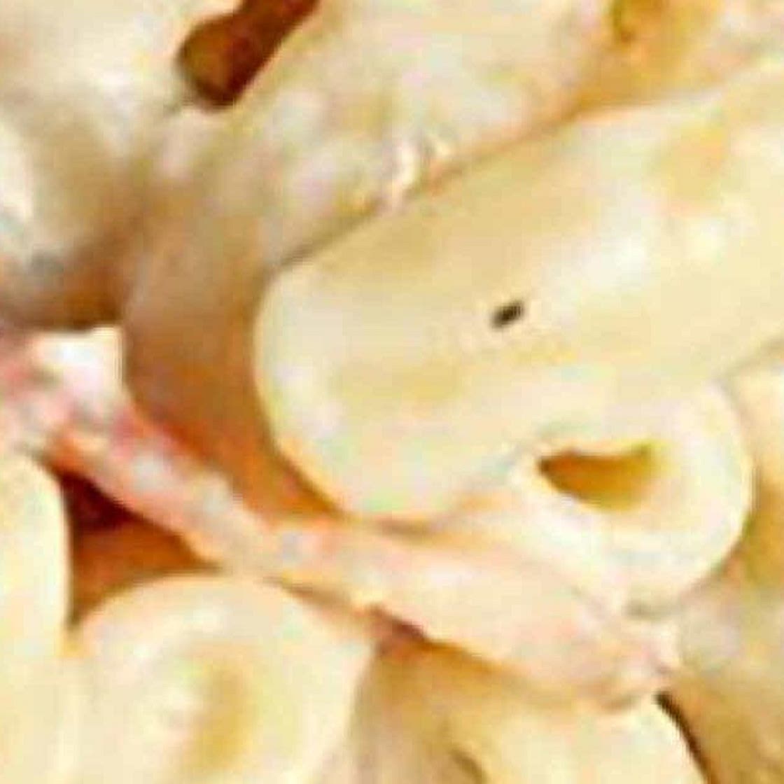 Bacon Ranch Pasta Salad Recipe | Hidden Valley™ Ranch