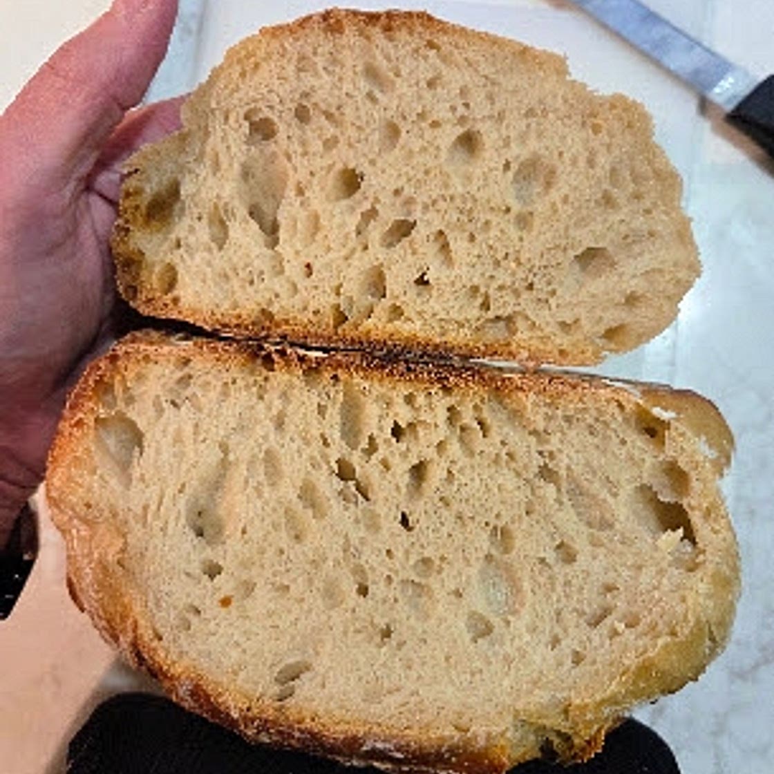 Sourdough Starter and Small Boule