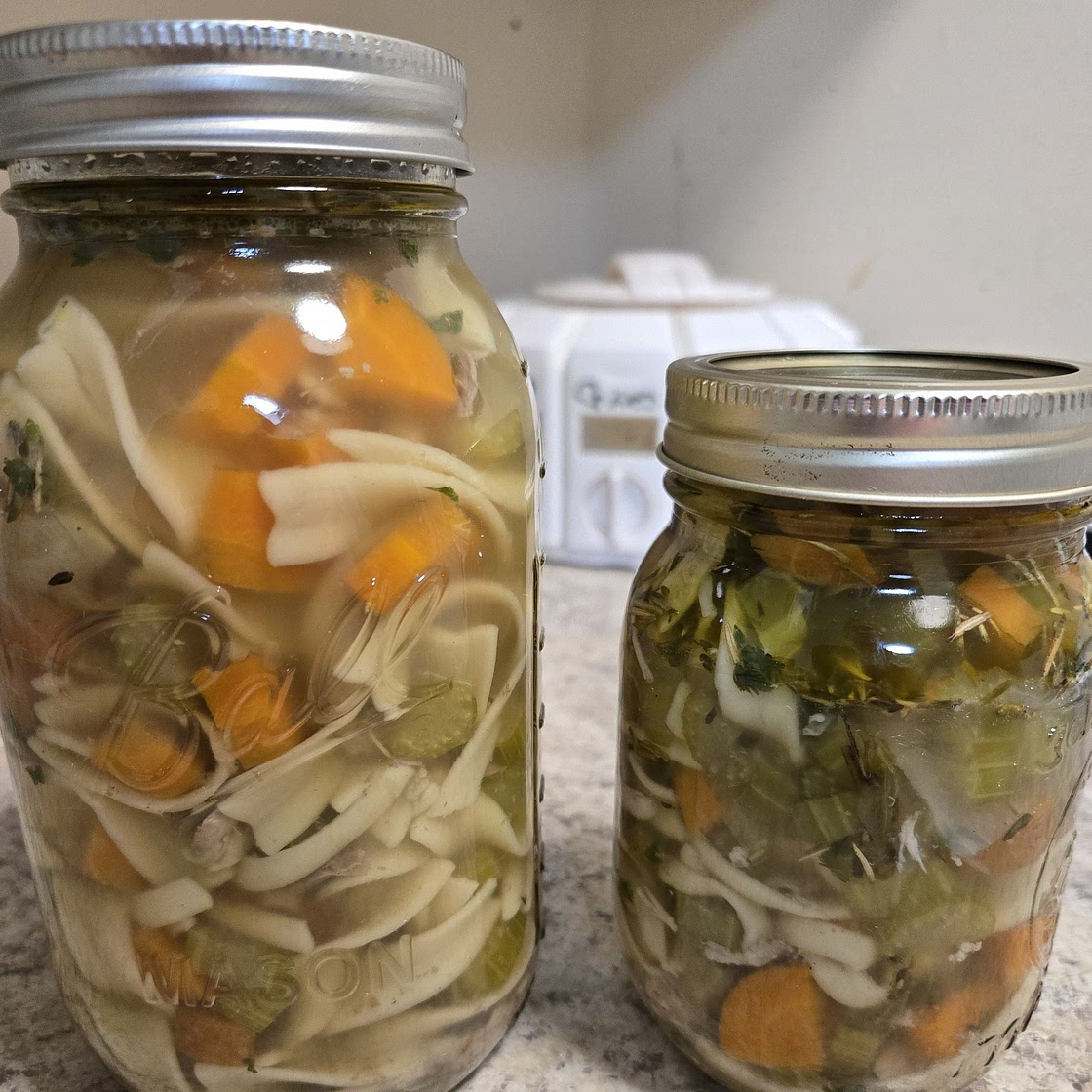 Chicken Noodle Soup