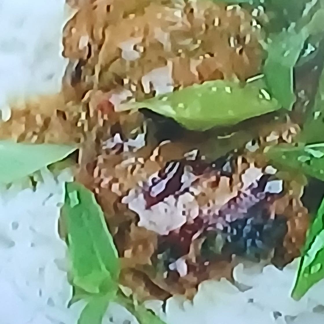 Chicken Thai Donal