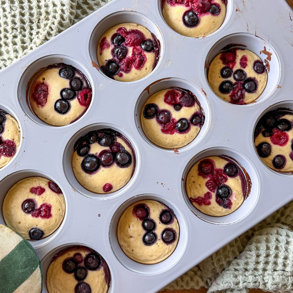 Easy Cheesecake Bites for Toddlers & Babies (no added sugar!)