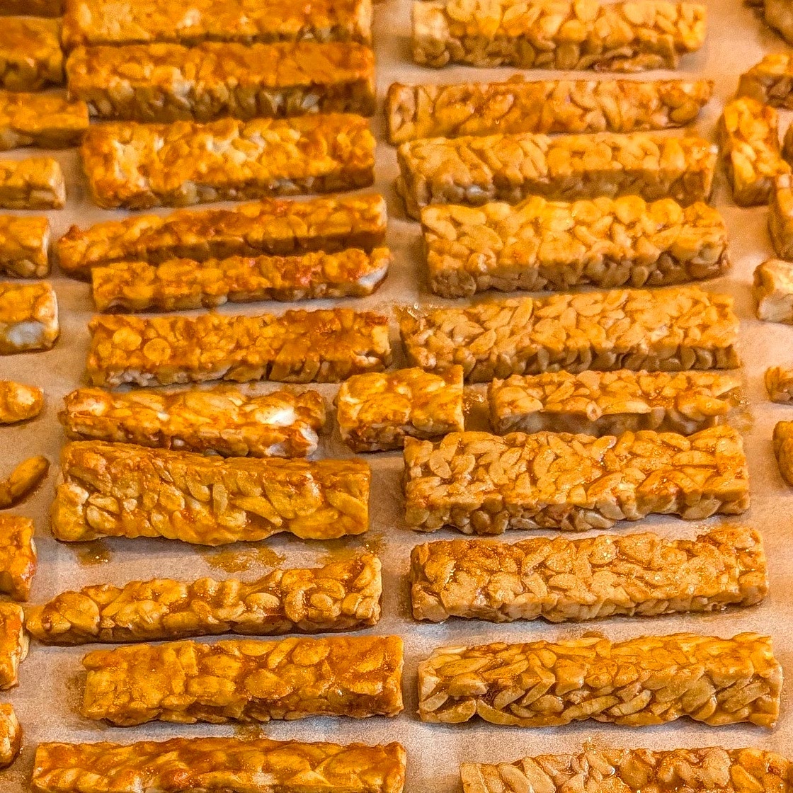 Tempeh Base Batch