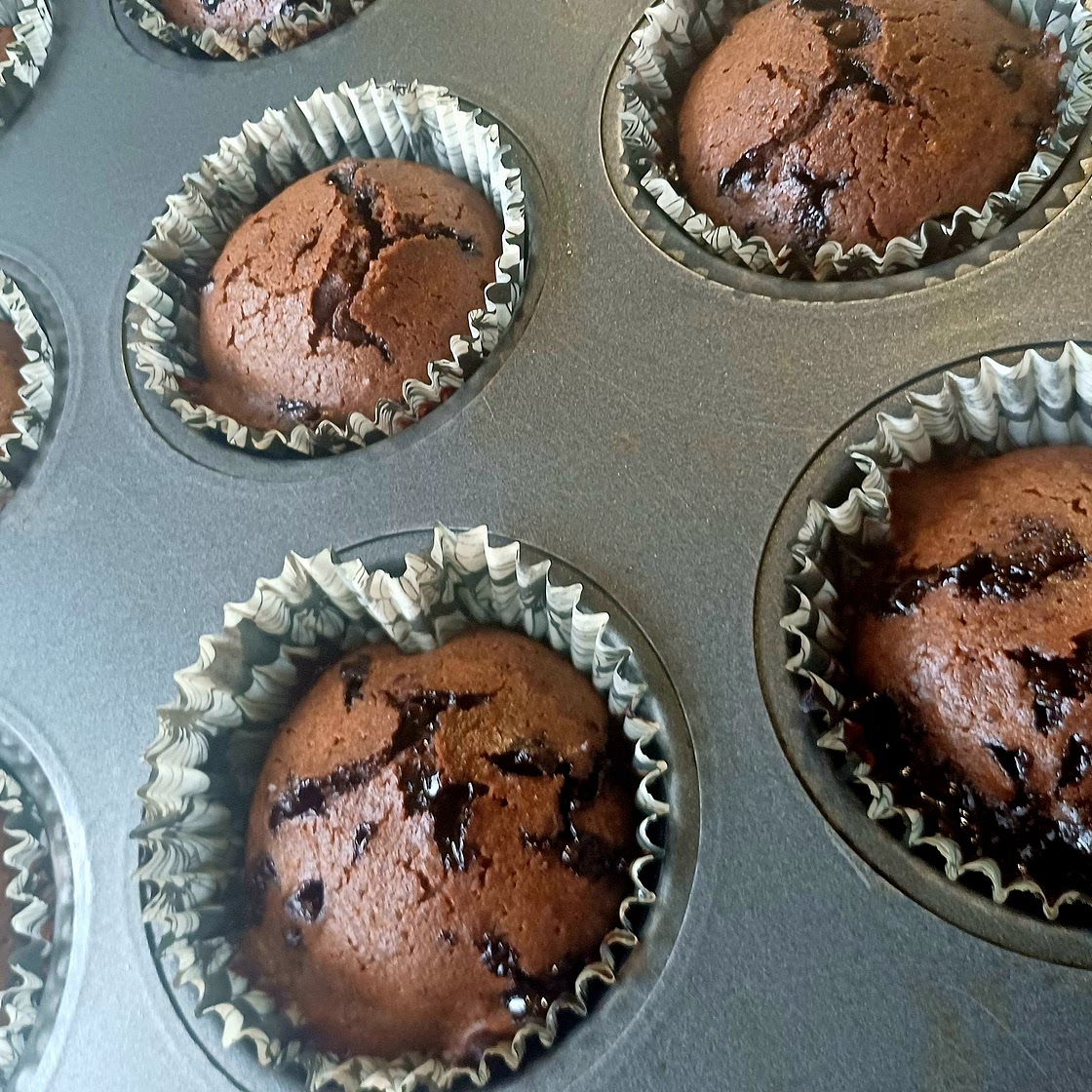 Chocolate Chip Brownie Bites