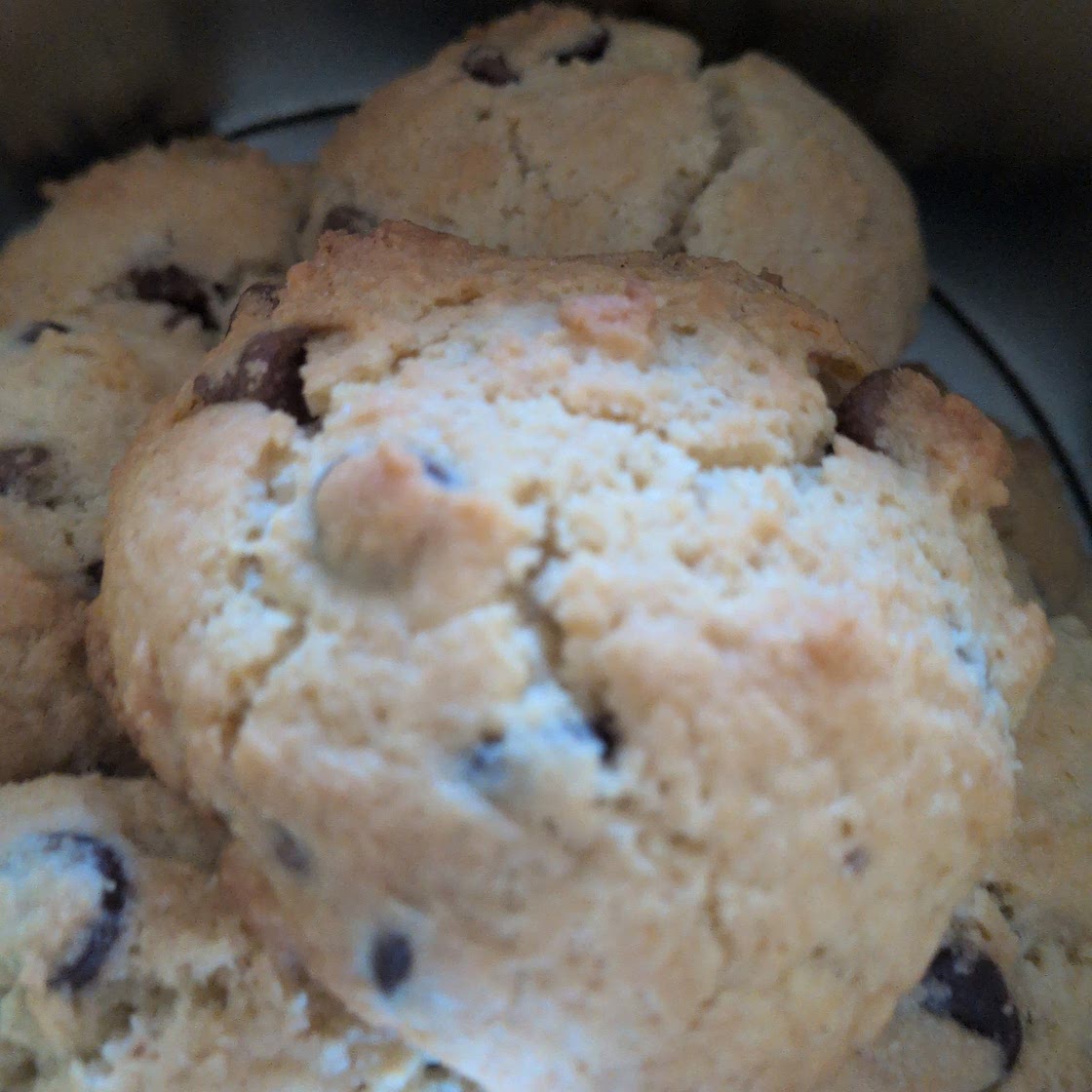 Moist Chocolate Craisin Rock Cakes