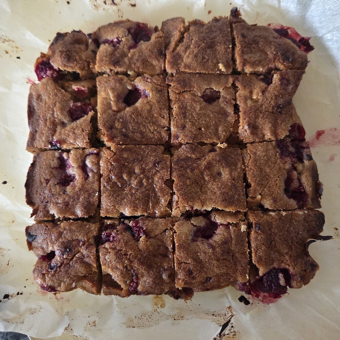 White Chocolate and Raspberry Blondies
