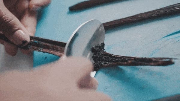Extract vanilla caviar from a premium Bourbon Vanilla Bean Pod ( (https://vvspices.link/bourbon-vanilla-pod). For an illustration see: https://youtu.be/xqwFYStK4ho