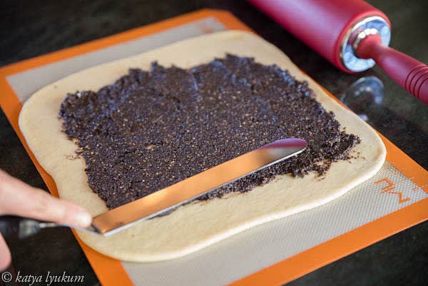 Roll the dough into a square 1/4" thick. Spread the poppy seed mixture as shown in the picture.