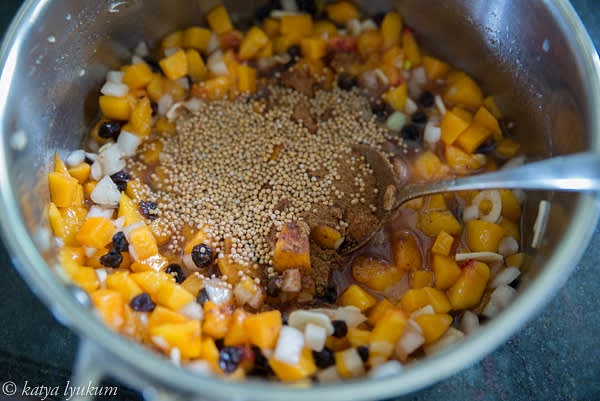 Add spices and vinegar and slowly bring to simmering. Cook for about 40 minutes to thicken, stirring from time to time. Cook it not covered on the lowest heat.