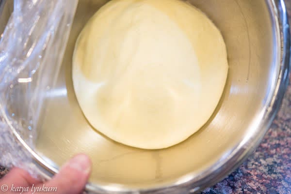 After the first fermentation, it will double in size.