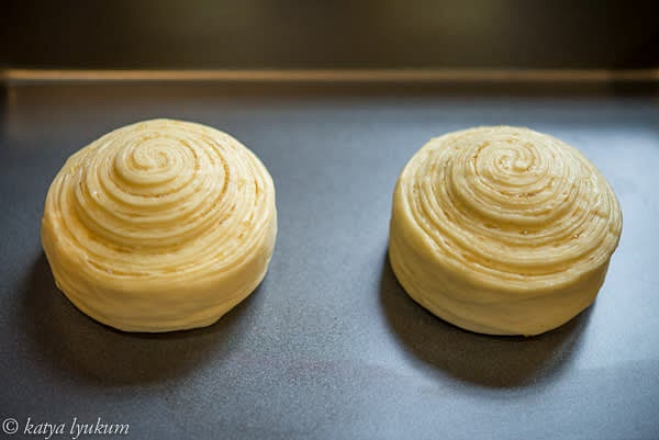 Place them center-cut up in a deep container and far from each other (to allow space for rising), cover, and refrigerate for 45-55 minutes. The second fermentation is cold. Start preheating your oven, 375F, convection mode.