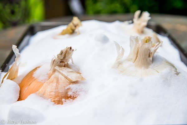 Preheat oven to 350F. Make shallow crosscuts on the top of each onion, place them in a deep baking dish roots down, and cover with salt.