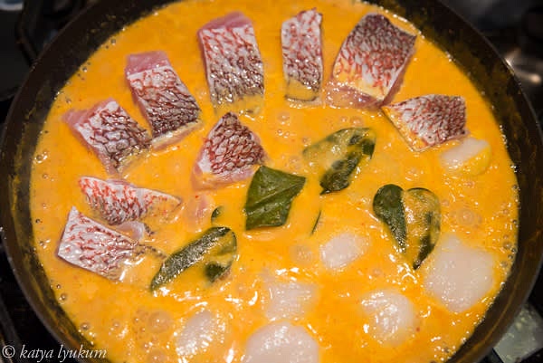 Season with fish sauce and cook for another 1-2 minutes. Add coconut milk (or coconut milk + water), season to taste, bring to simmer. Par-cook seafood to almost done ad remove from the curry sauce and reserve.