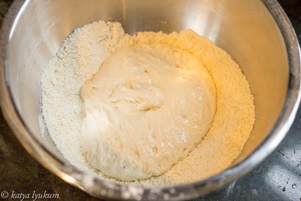 After dough #1 doubles, combine it with dough #2 and knead a soft dough.