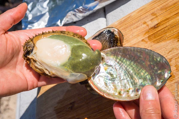 Release the mantle from the shell starting from its pointy side. Place your fingers between the shell and the body, and pull.