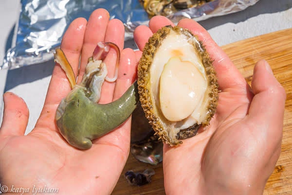 Repeat with all abalones.