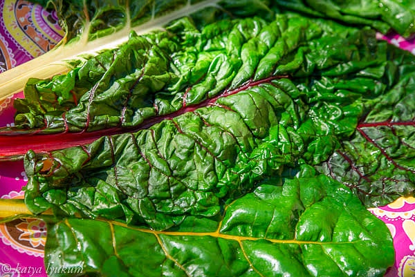 Wash, trim, and gently steam chard leaves. Gently means for a few seconds, to soften them. Do not overcook them! Let them cool to the room temperature layered flat.