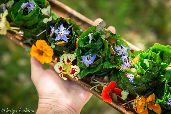 Place the rolls vertically stem side down on the plate and serve sprinkled with microgreens and edible flowers if you are lucky to get them!