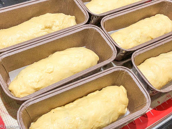 Place each pie on the baking sheet (3 per half-size) OR you can use paper molds, cover, and let rise for about 1.5-2 hours. The timing depends on your room temperature. The pies should double in size.