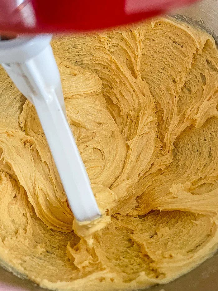 Add the milk and vanilla extract and mix for one minute.