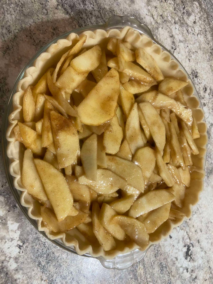 In a large bowl, mix together sliced apples, lemon juice, both sugars, flour, cinnamon, nutmeg. Add to pie crust and pan