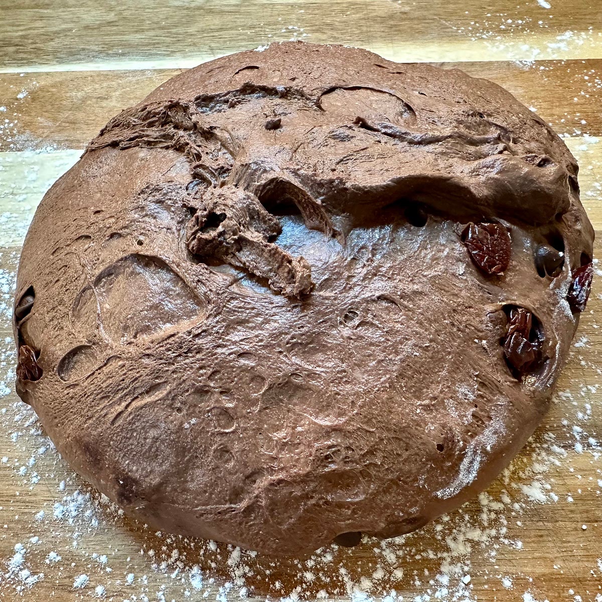 Lightly flour your work surface and the smooth top of your dough ball and turn it out floured side down on your surface.
...
Incorporate the fermentation sample back into the main dough by stretching it out on the sticky side of the main dough.