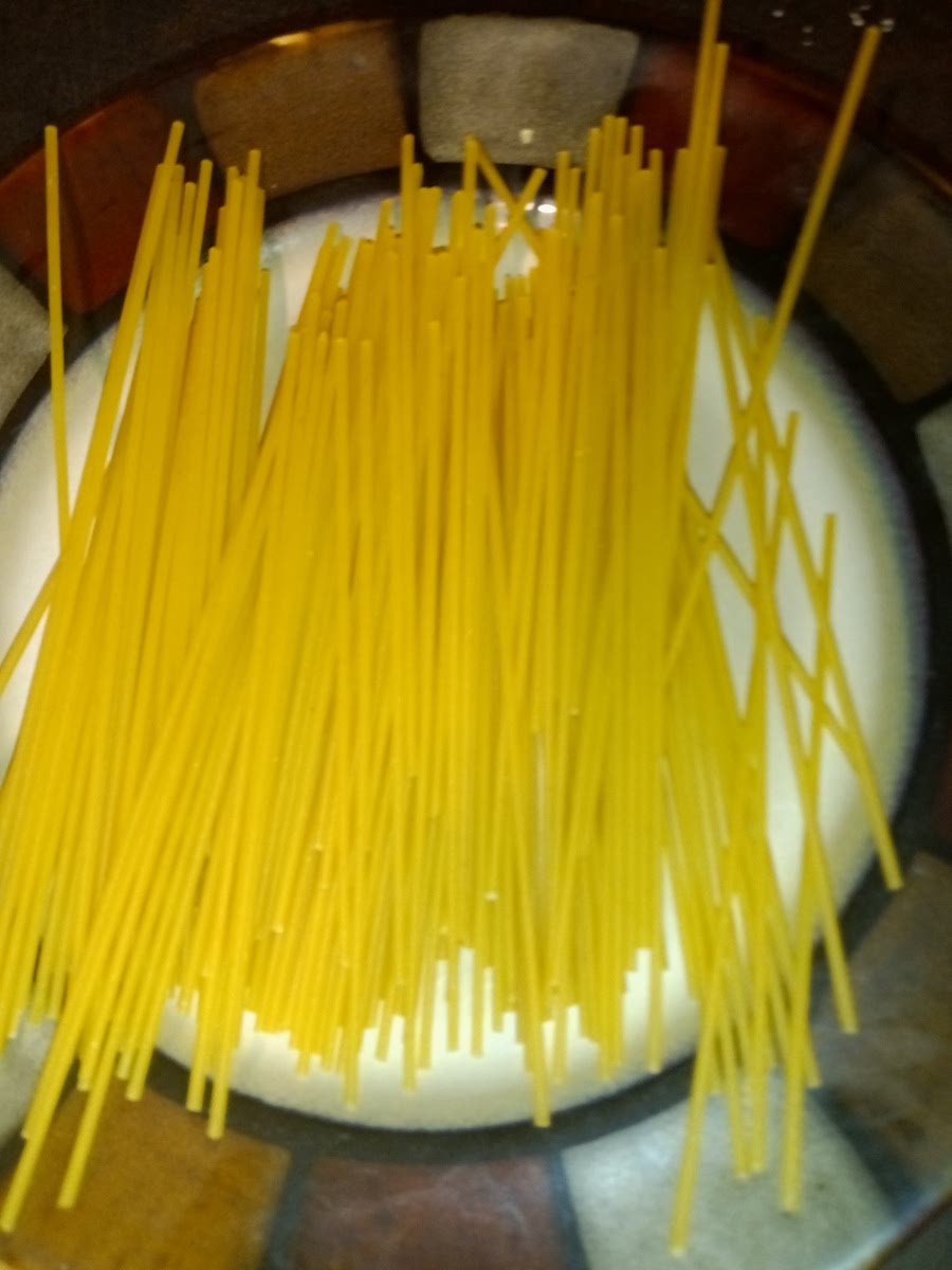 Now you're going to take a handful of spaghetti and break it in half and place it into your boiling water