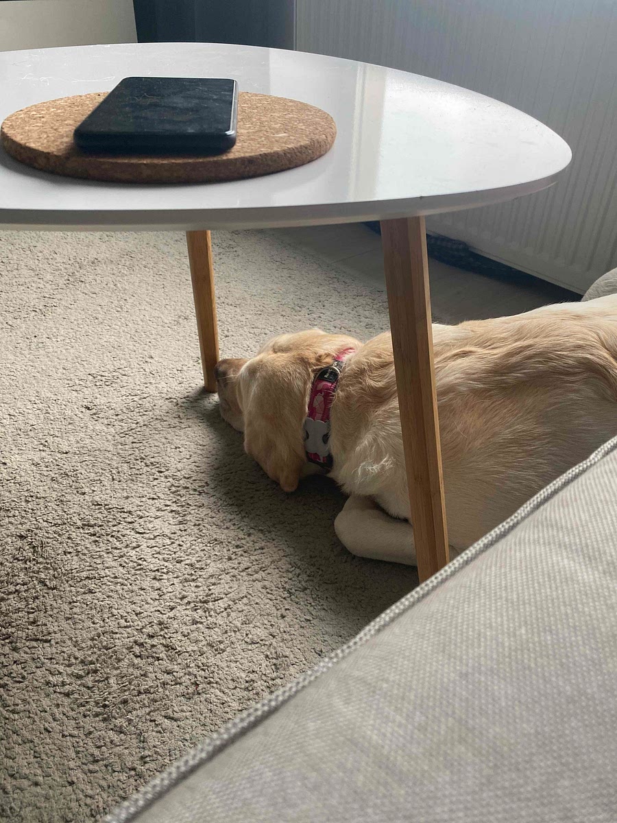 Gently cook the garlic over low heat for about 15 minutes, or until the garlic is lightly golden brown