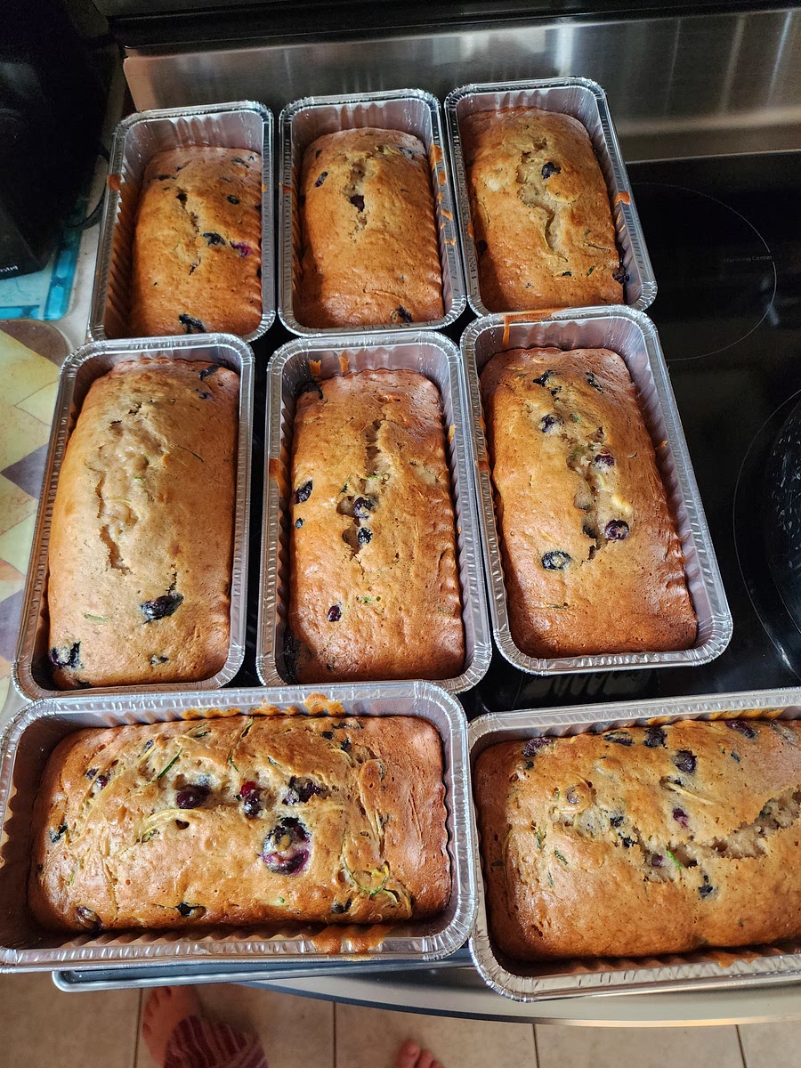 Preheat the oven to 350 degrees F . Lightly grease 4 mini loaf pans. Beat together sugar, oil, eggs, and vanilla in a large bowl. Fold in zucchini. Beat in flour, cinnamon, salt, baking powder, and baking soda until just combined. Gently fold in blueberries. Pour batter into the prepared pans. Bake in the preheated oven until a knife inserted in the center of a loaf comes out clean, about 50 minutes. Cool in the pans for 20 minutes, then turn out onto a wire rack to cool completely.