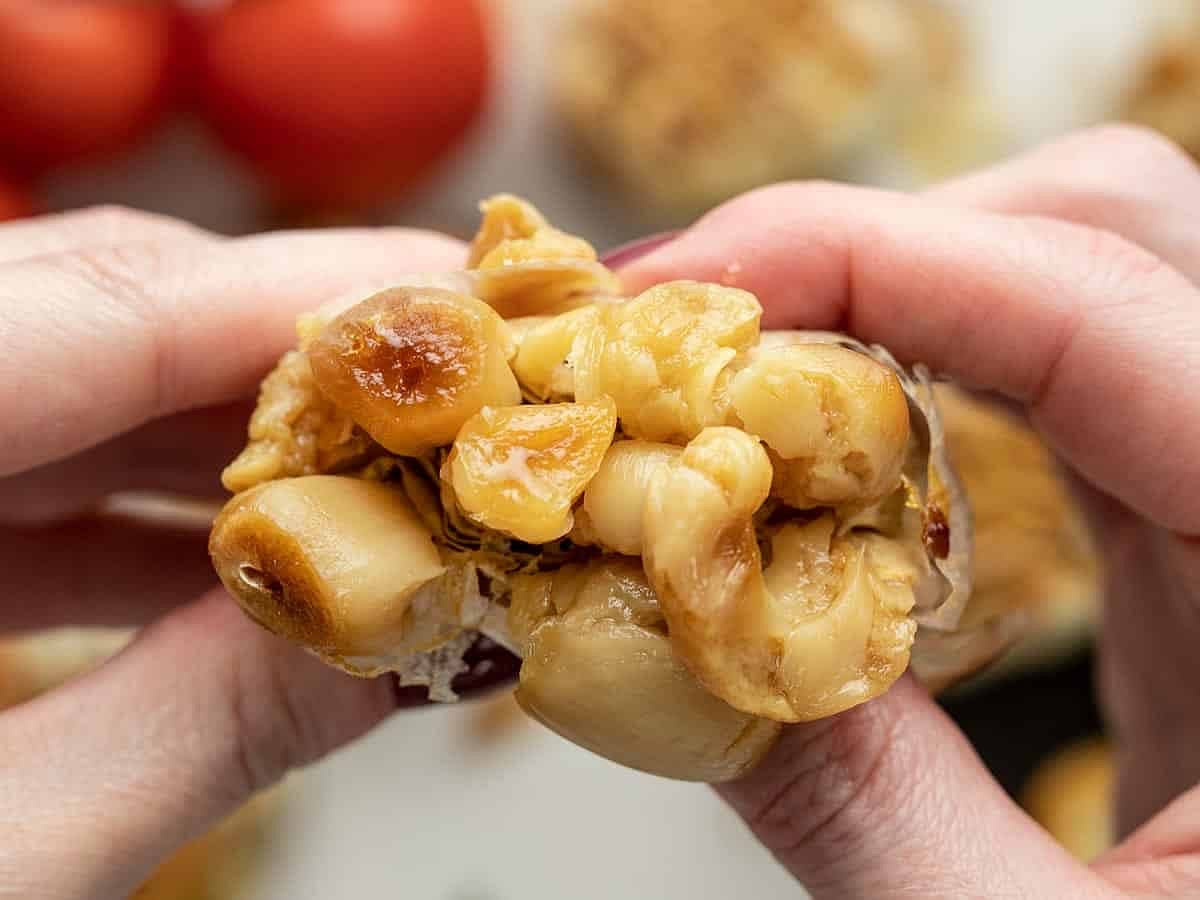 Take roasted garlic out of foil and squeeze out garlic cloves onto a lightly oiled 5qrt pot. Then add tomato paste. Let them cook together for a few minutes then add blended vegetables.