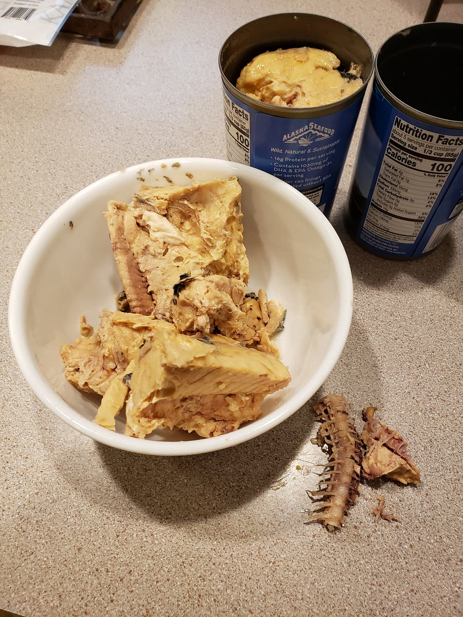 If your salmon has spine fragments, remove them.