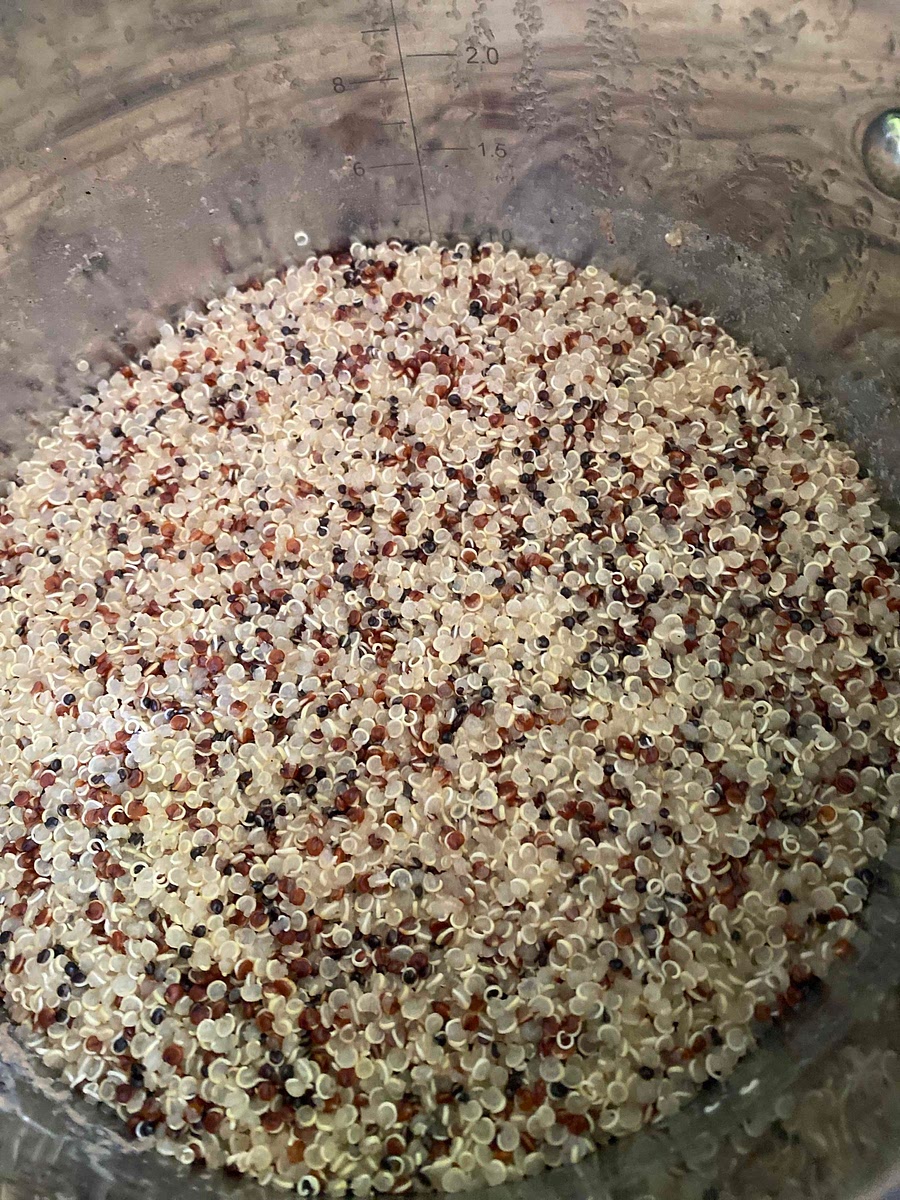 Cuire le quinoa