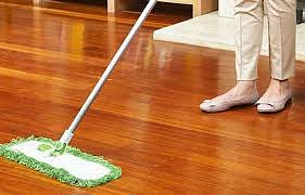 Nettoyer sol parquet et plinthes spray VERT