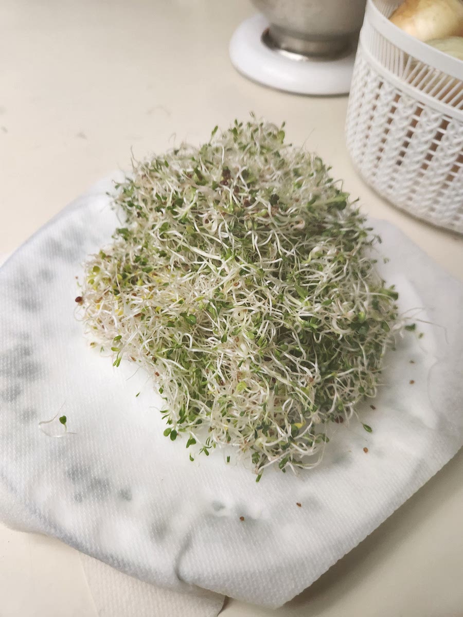 After your last rinse and drain, shake the sprouts out if the jar into a large salad bowl with water to wash the seed hulls from the sprouts. The hulls are edible but unsightly, so rinse away as many as you can.