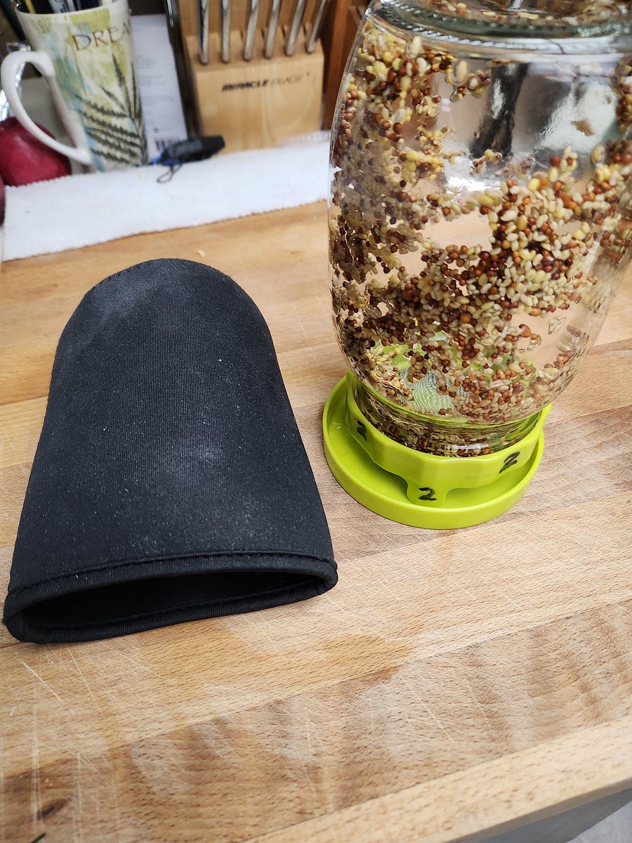 Remove the Sox and rinse and drain the seeds several times every 12 hours or so. This removes any pathogens that may be growing on the seeds. Repeat, loosely, ever 12 hours.