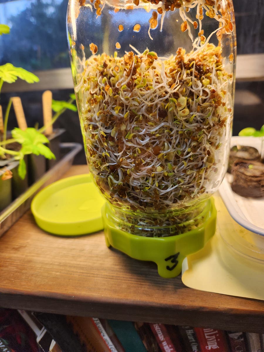 Quality Control:
Before the rinse, give them the snif test.
Any bad oder is cause to dump and start over. I've only had one of those, it does happen.