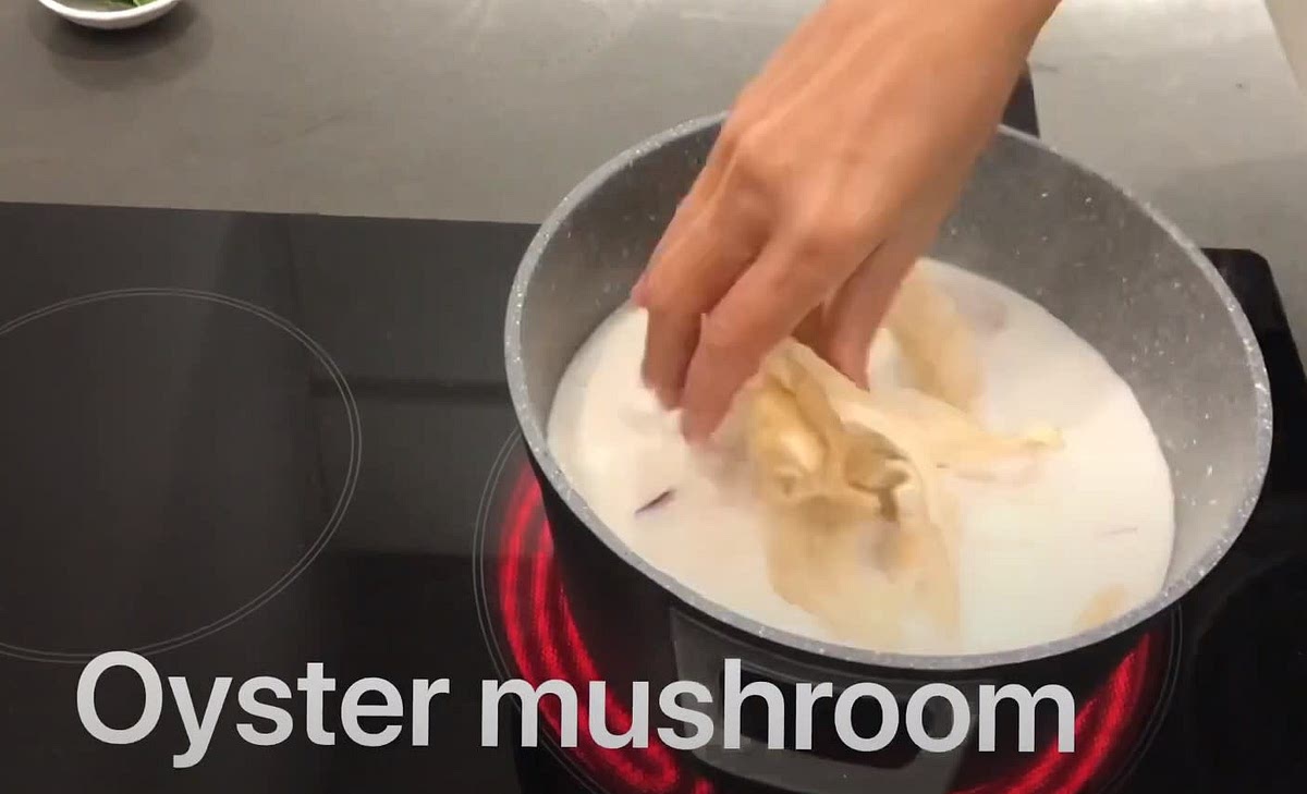 Add the Oyster mushrooms and boil a bit more