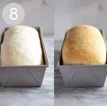 Bake: Preheat oven to 350 F. Bake bread for about 30-33 minutes, or until golden brown on top. Give the top of a loaf a gentle tap; it should sound hollow.