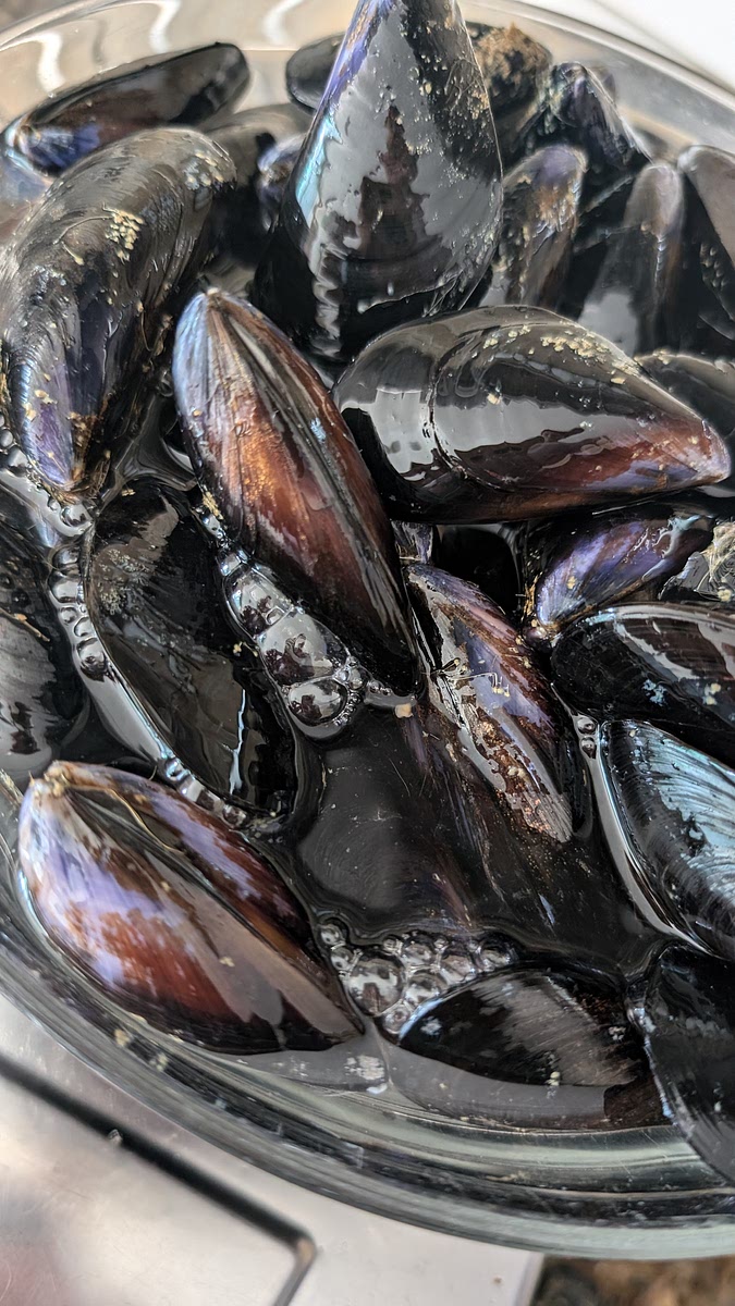 Pulire e sciacquare le cozze, portarle sul fuoco in una padella capiente e lasciarle aprire a fiamma alta per 3-4 minuti.