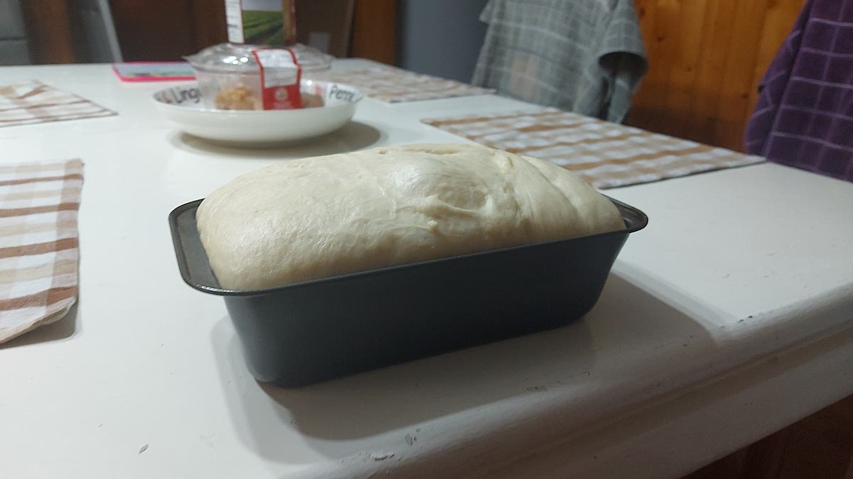 Take the dough out and mix it with flour and place in a loaf pan to rise for about an hour. (Spread oil in the pan before putting the dough)