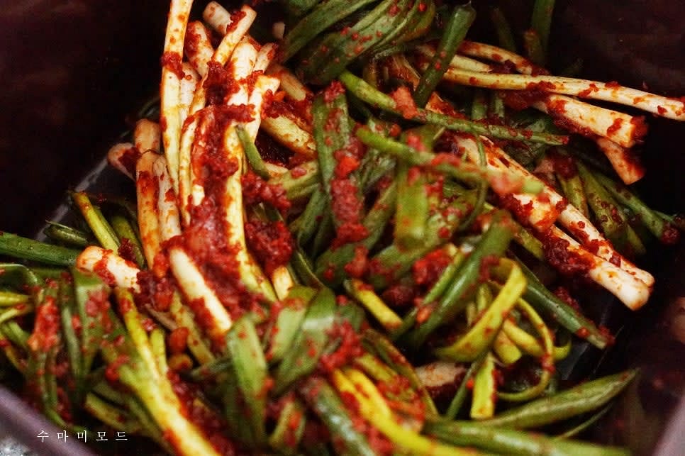 돌돌 말은 쪽파김치는 요렇게 김치통에 차곡차곡 옮겨담아 주면 완성.