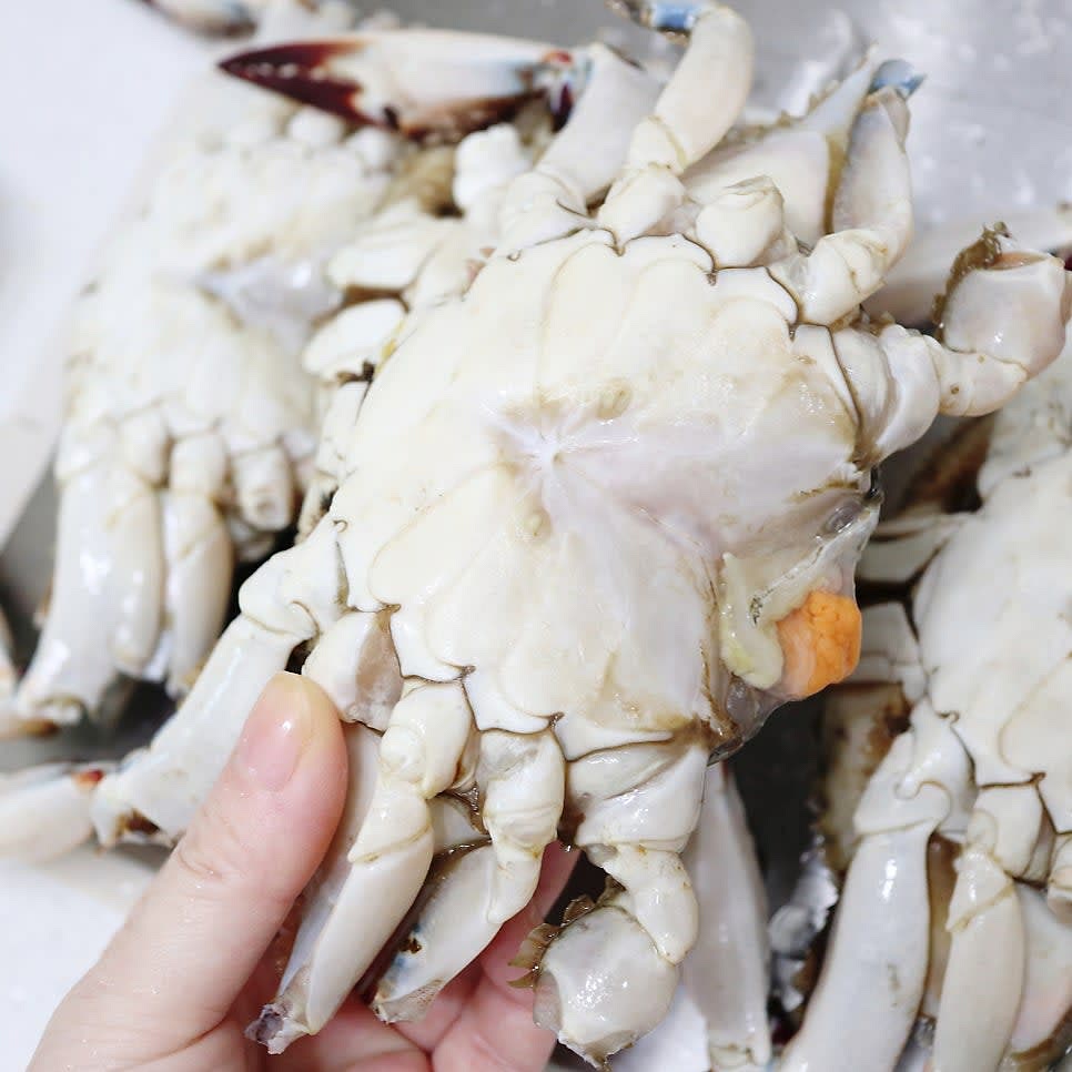 배 부분과 다리 부분까지 모두 솔로 닦아줘야
깨끗하게 끓여드실 수 있겠죠?