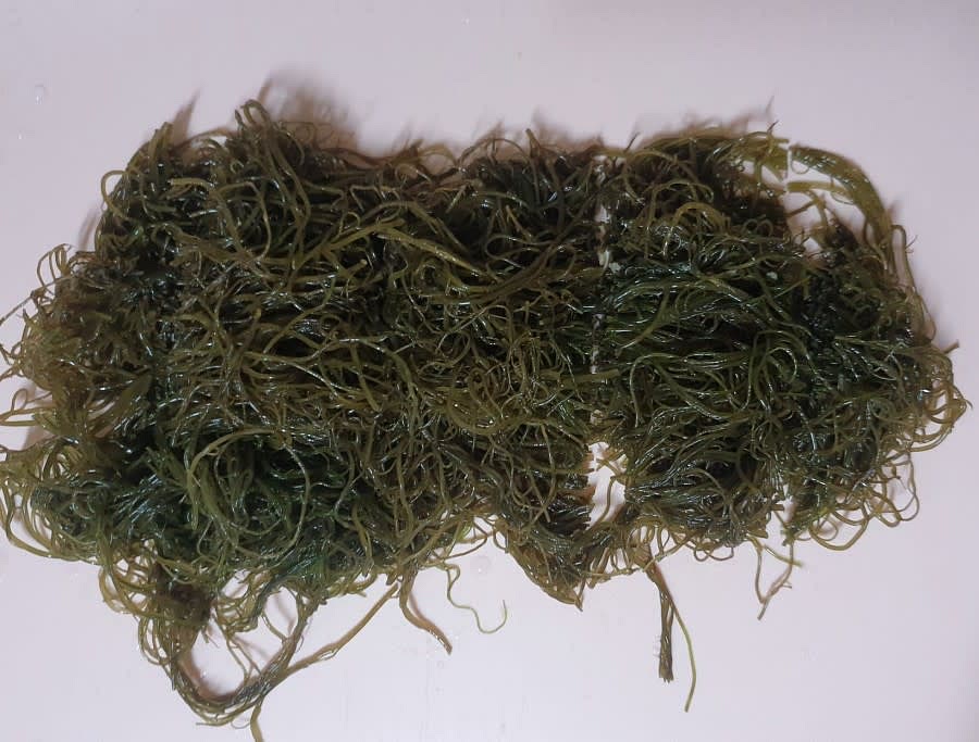물에 담가두었던 꼬시래기는 채반에 받쳐 물을 빼준 후, 2~3cm 길이로 잘라주었어요.