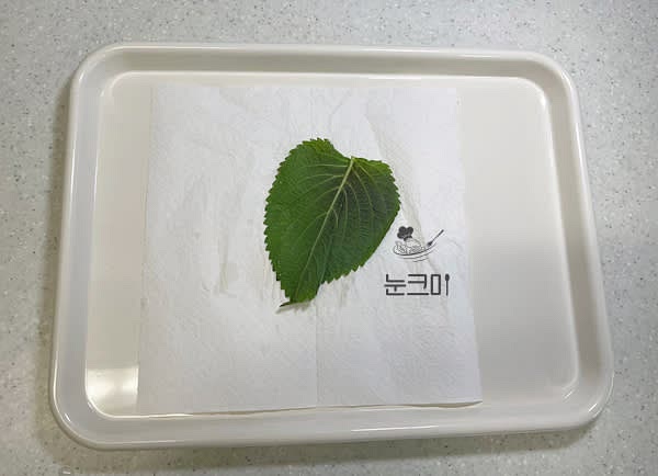 깻잎의 물기를 탈탈 털어줘야 부침가루를 얇게 묻힐 수 있기 때문에 최대한 물기를 제거해 줍니다.