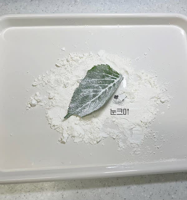 쟁반에 부침가루나 튀김가루를 부어준 뒤 말려 놓은 깻잎을 앞뒤로 골고루 묻여줍니다.