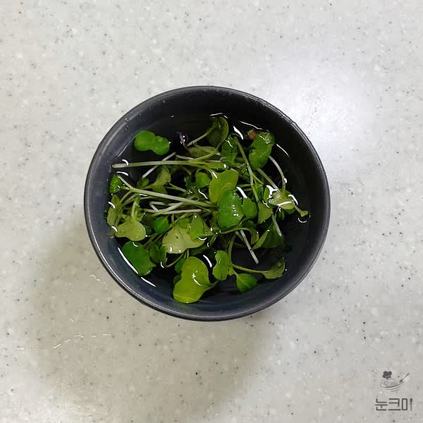 어린잎채소(생바질)는 깨끗이 세척한 뒤 물에 담가줍니다.