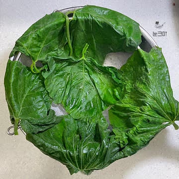 냄비에 물을 끓인 뒤 찜기에 호박잎을 넣고 뚜껑을 닫아 5분 정도 쪄 준 뒤 체나 도마에 펼쳐서 한 김 식혀줍니다.