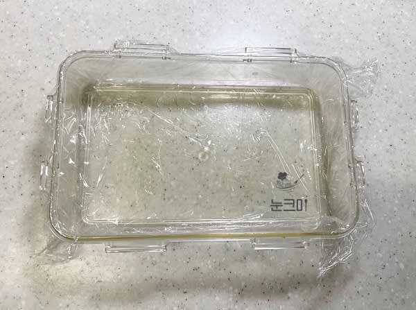 사각 무스틀이나 밀폐용기 둘 다 랩을 빈틈없이 씌워줍니다.