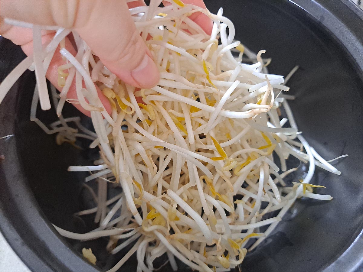 냄비에 숙주를 담고 밀푀유를 차곡차곡 올려 육수를 더해 끓여 소스와 곁들여 줍니다.