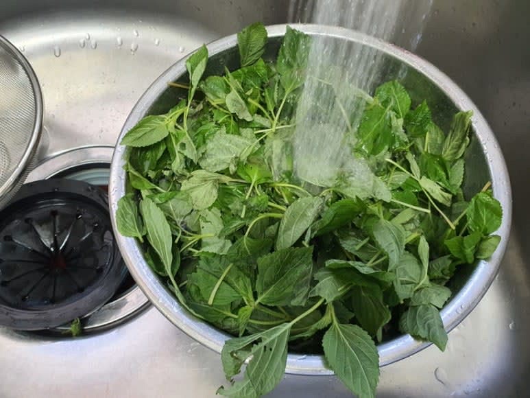 다듬은 깻잎순은 3번정도 씻어 불순물을 제거해준다.