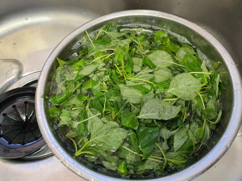 물에 식초를 살짝 부어 깻잎순을 10분정도 담궈 둔다.